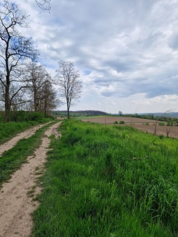 b_1024_768_0_00_images_2022_2023_SKKT_PTTK_rajd_maj_345477088_1325754768338998_4289405724518231455_n